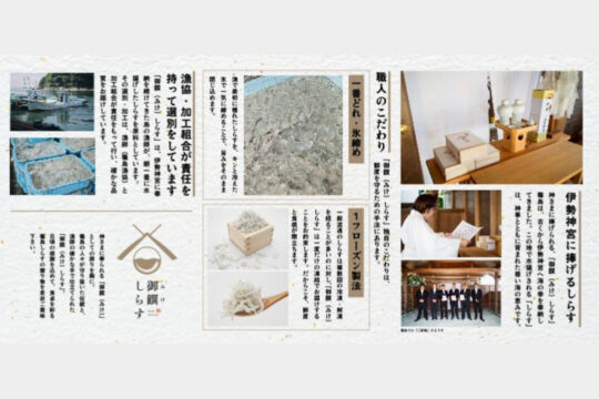 「篠島しらす」ブランド化プロジェクト新商品販売