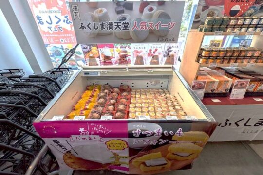 道の駅保田小学校