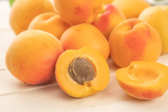 あんずと塩こんぶ